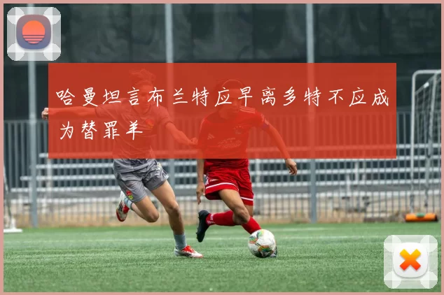 哈曼坦言布兰特应早离多特不应成为替罪羊