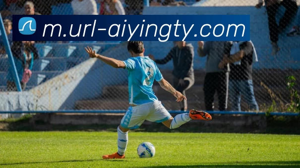 爱赢体育平台生态图